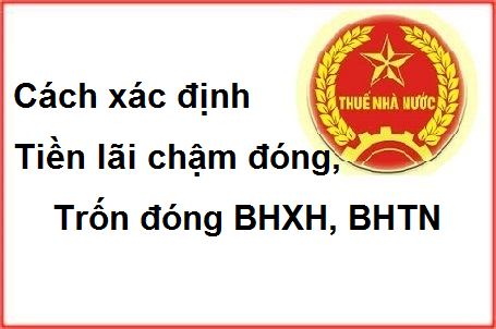 cách tính tiền lãi chậm đóng bhxh